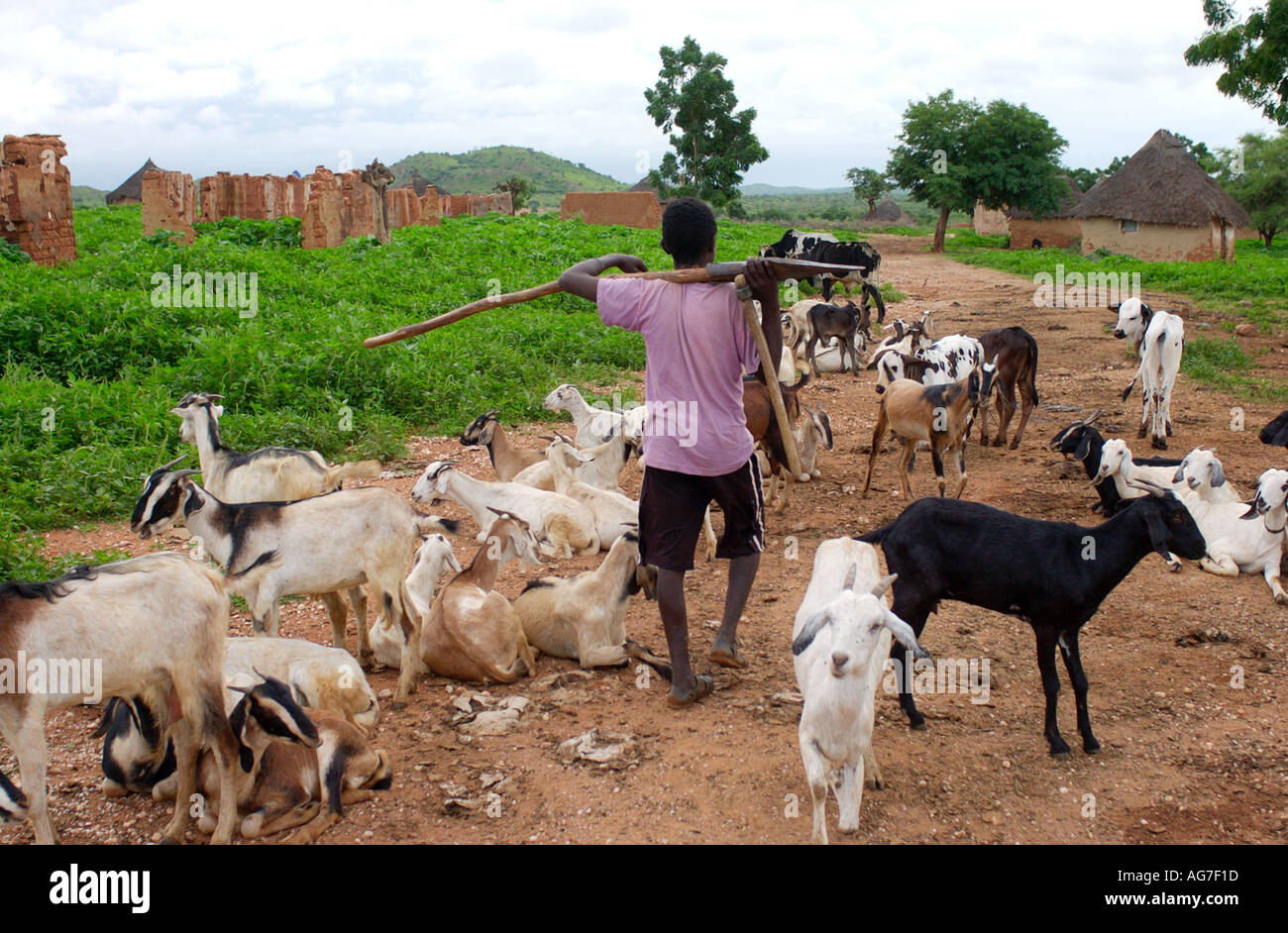 eritrea-agriculture-hi-res-stock-photography-and-images-alamy