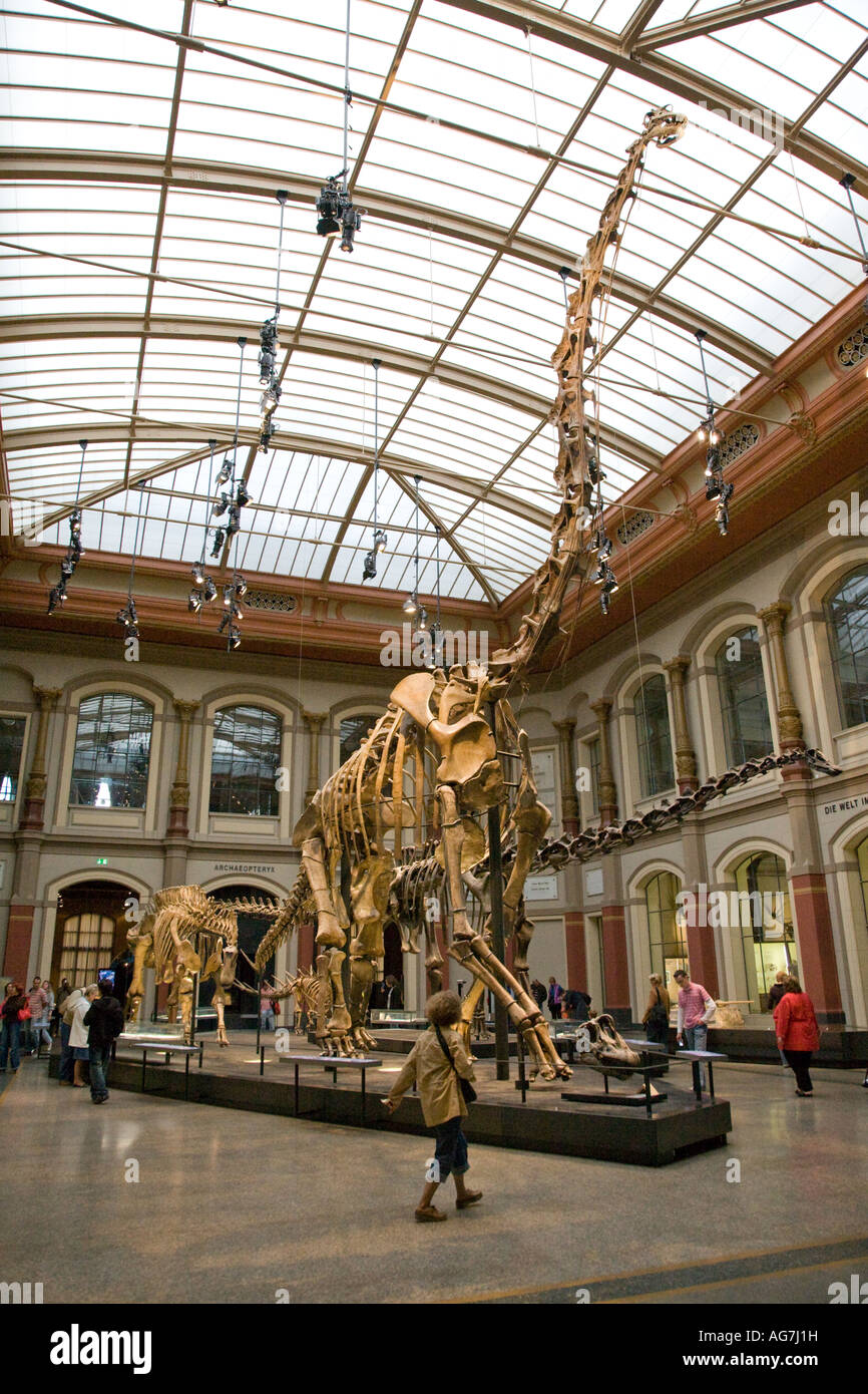 Brachiosaurus Brancai Skeleton Natural History Museum Berlin Germany brachiosaurus-brancai-skeleton-natural-history-museum-berlin-germany