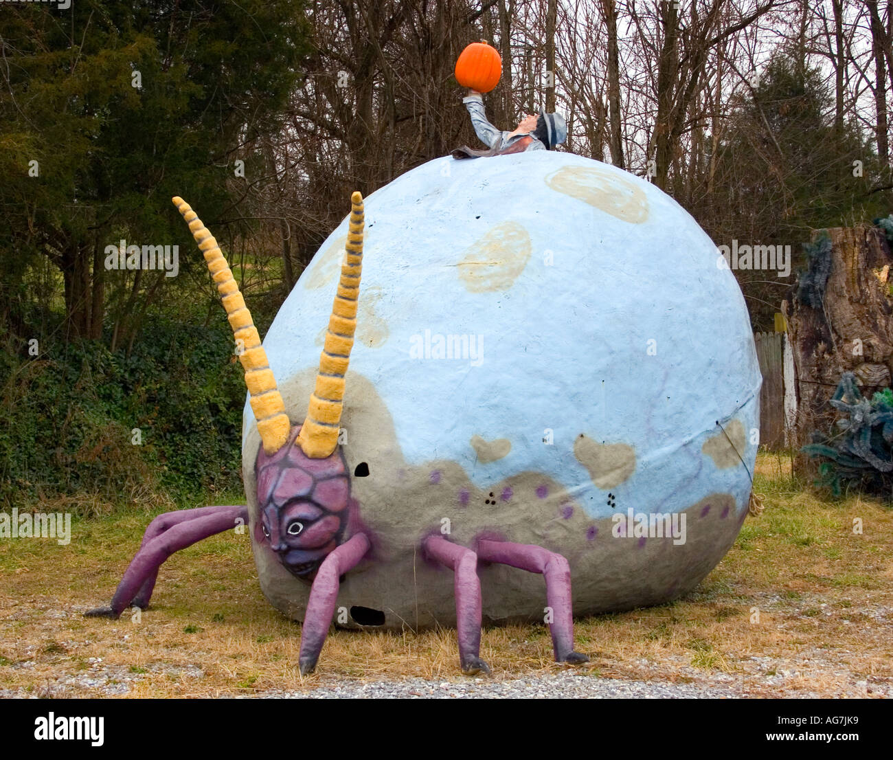 Giant Insect Sculpture at the Enchanted Castle Studio in Natural Bridge