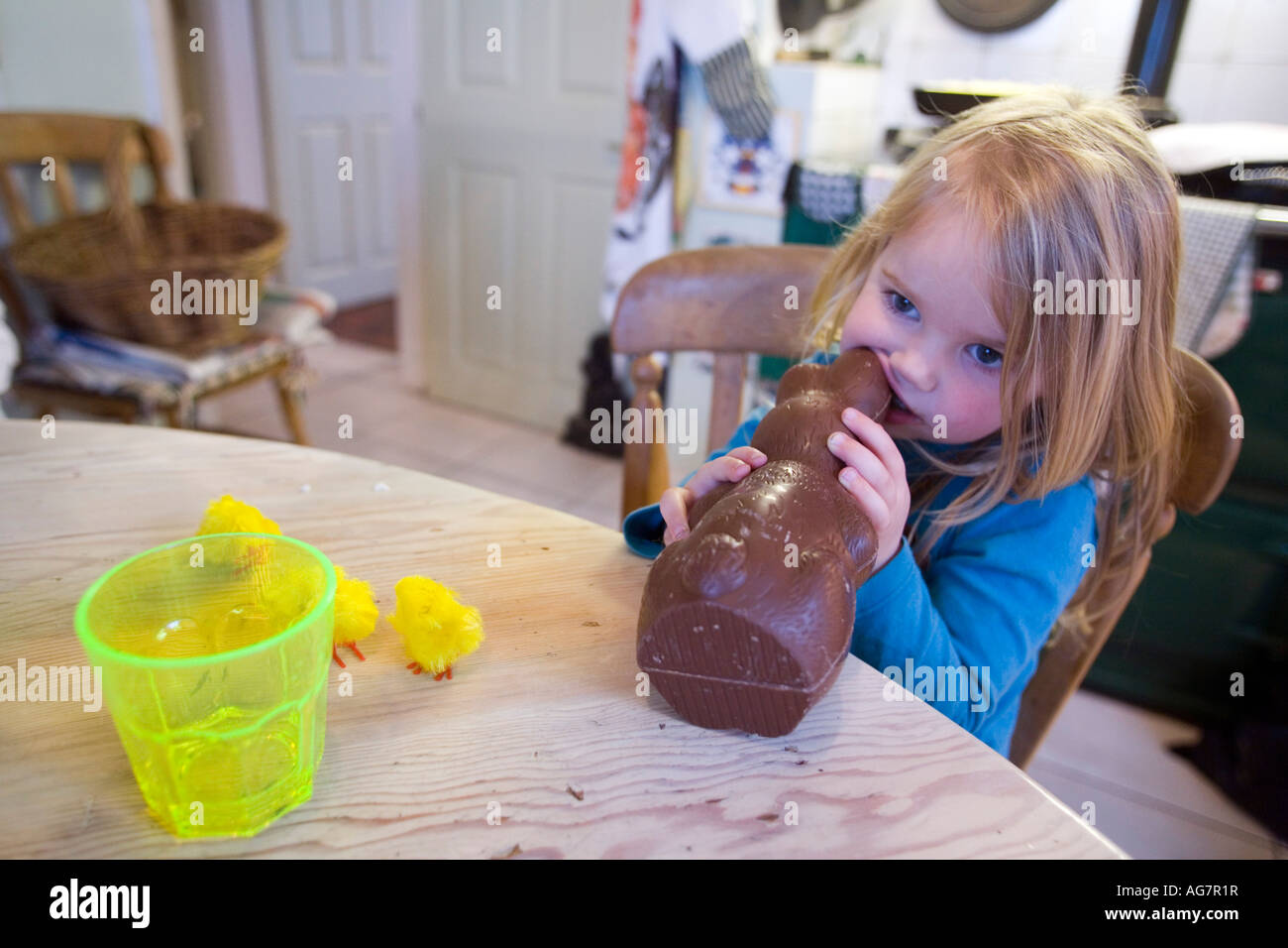 Three year old blonde girl eating a chocolate easter bunny Stock Photo