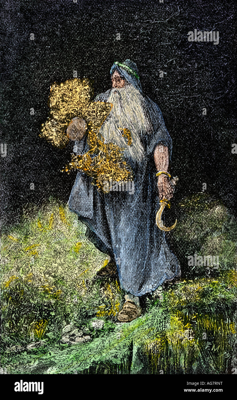 Druid carrying mistletoe and a sickle. Hand-colored woodcut Stock Photo