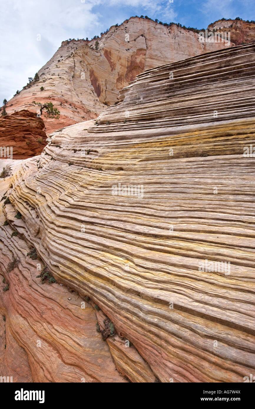 Layers of Sandstone Strata Zion National Park Utah Stock Photo