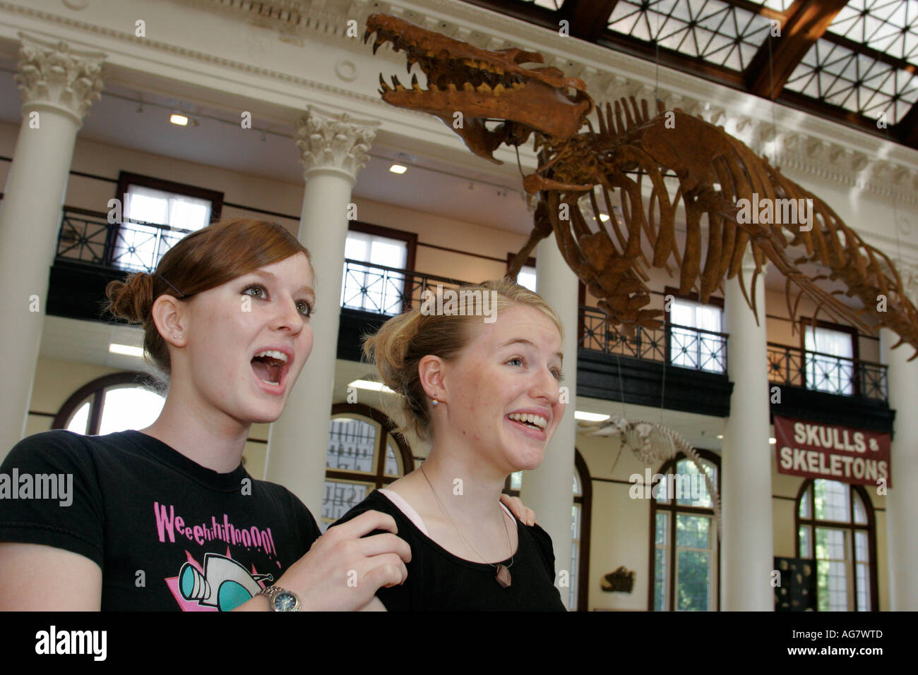 Tuscaloosa Alabama,University of Alabama,Museum of Natural History ...