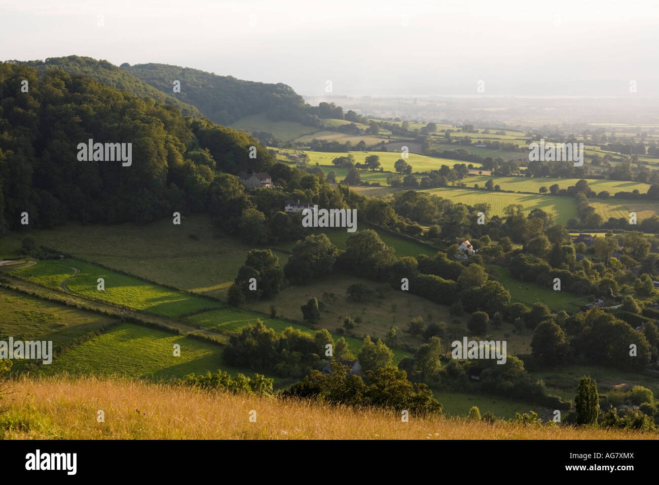 An evening view from Selsley Common looking towards Pen Hill and