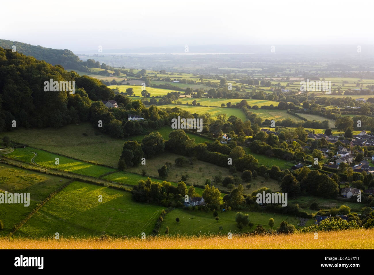 An evening view from Selsley Common looking towards Pen Hill and