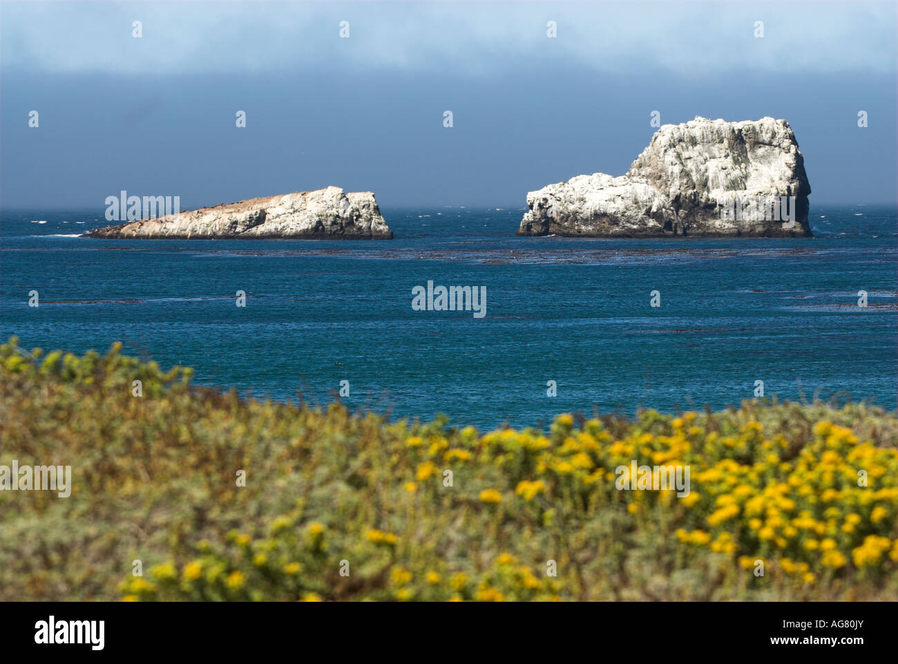 Huge rock formations at San Simeon State Park that are white with the guano of seabirds. Stock Photo