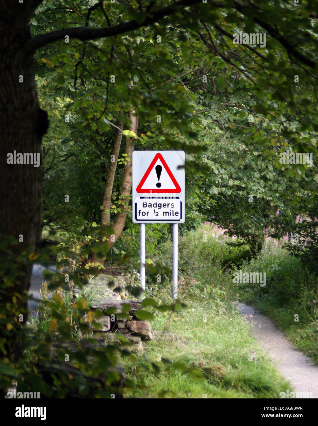 Badgers Road Sign High Resolution Stock Photography and Images - Alamy