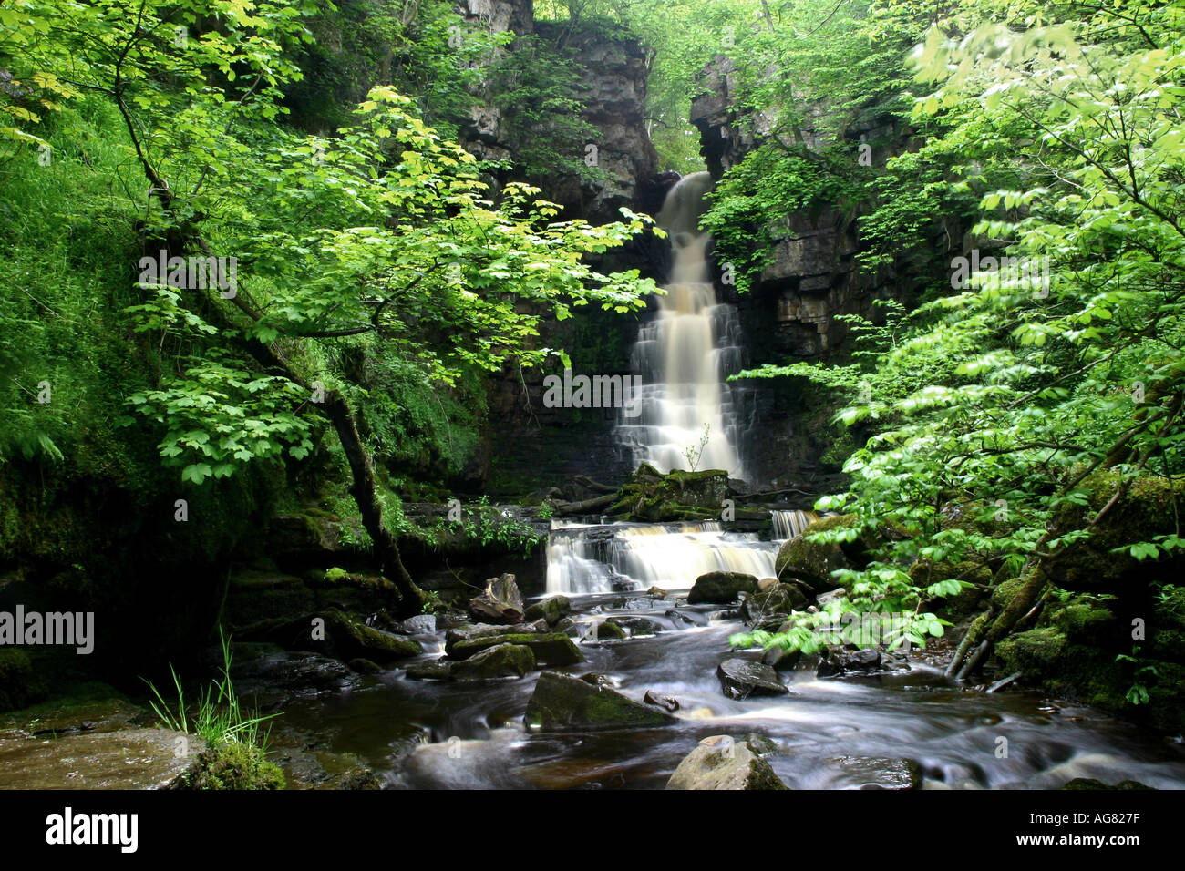 Mill Gill Force in the Yorkshire Dales Stock Photo