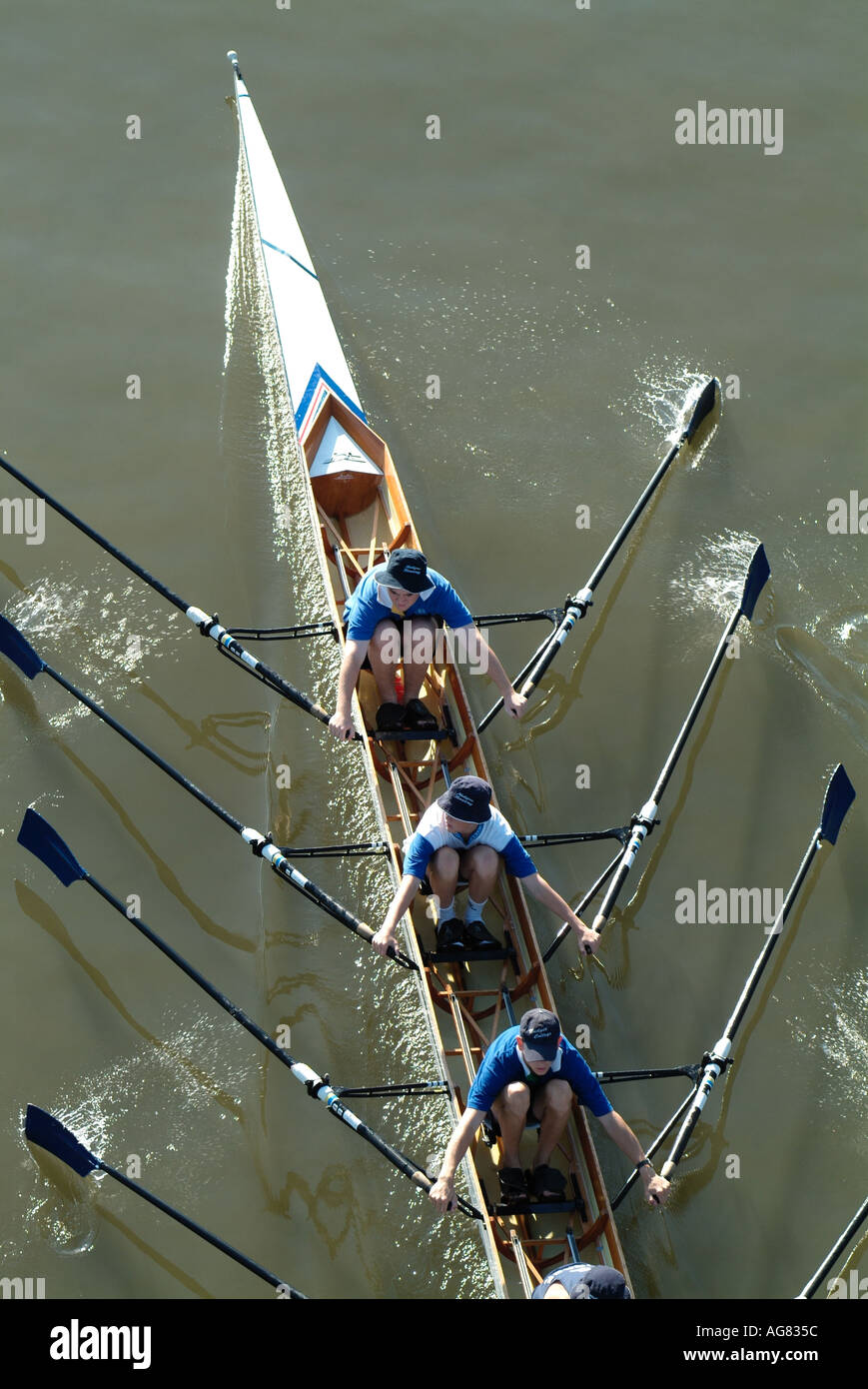 rowing team Brisbane River Stock Photo