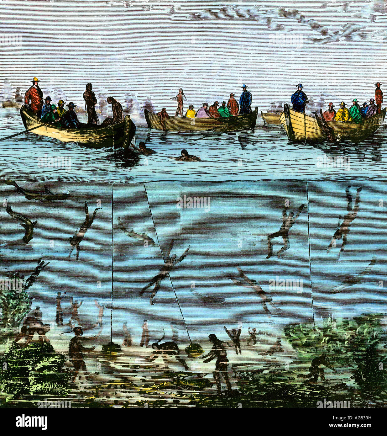 East Indian divers gathering pearls 1800s. Hand-colored woodcut Stock Photo