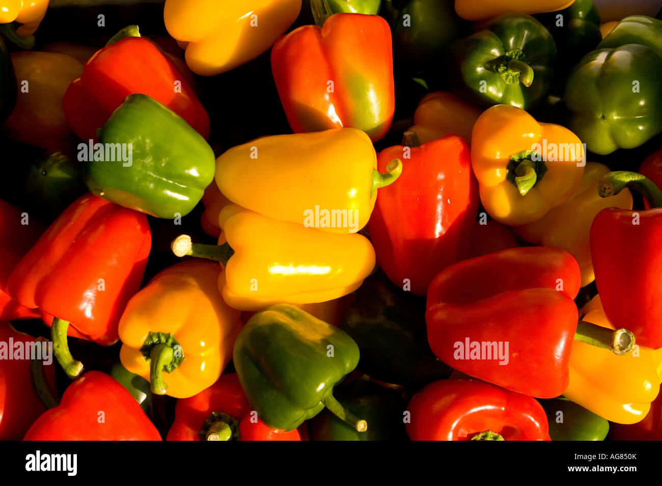 Red Yellow and green peppers displayed Stock Photo - Alamy