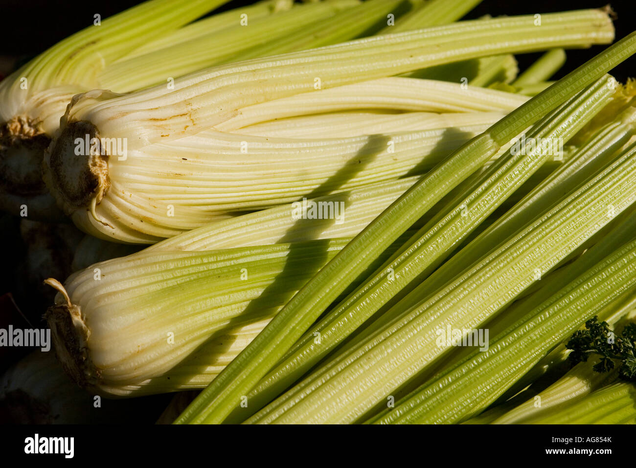 Heads of celery displayed Stock Photo Alamy