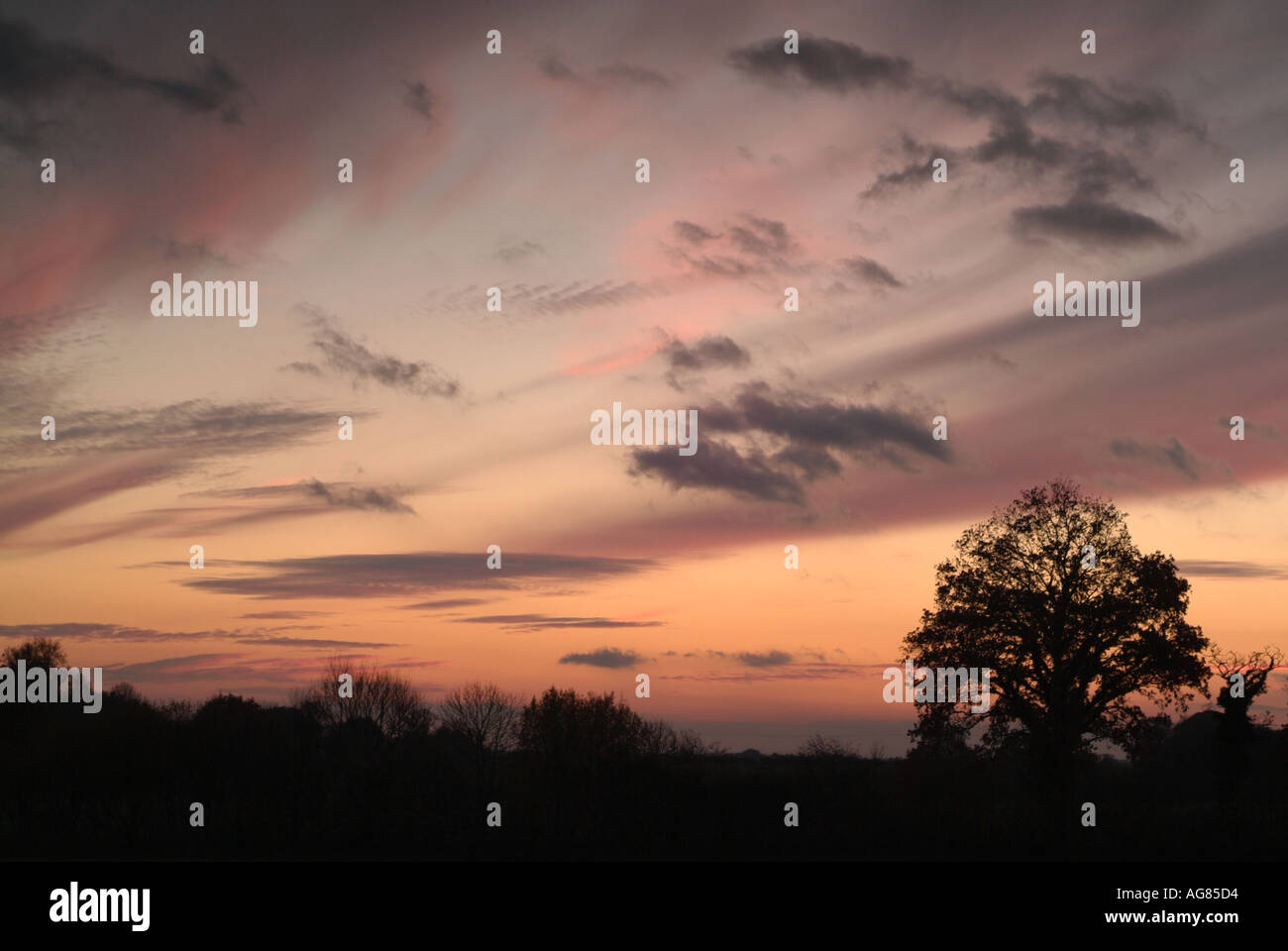 Dramatic Dusk Sky Silhouetting the Trees and Hedgerows of the Rural English Countryside, Oxfordshire, England. Stock Photo