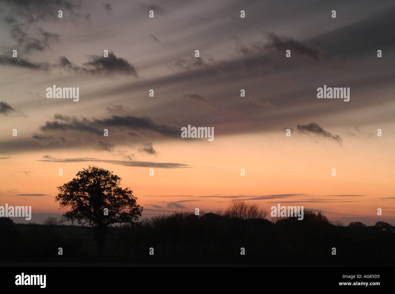 Dramatic Dusk Sky Silhouetting the Trees and Hedgerows of the Rural English Countryside, Oxfordshire, England. Stock Photo