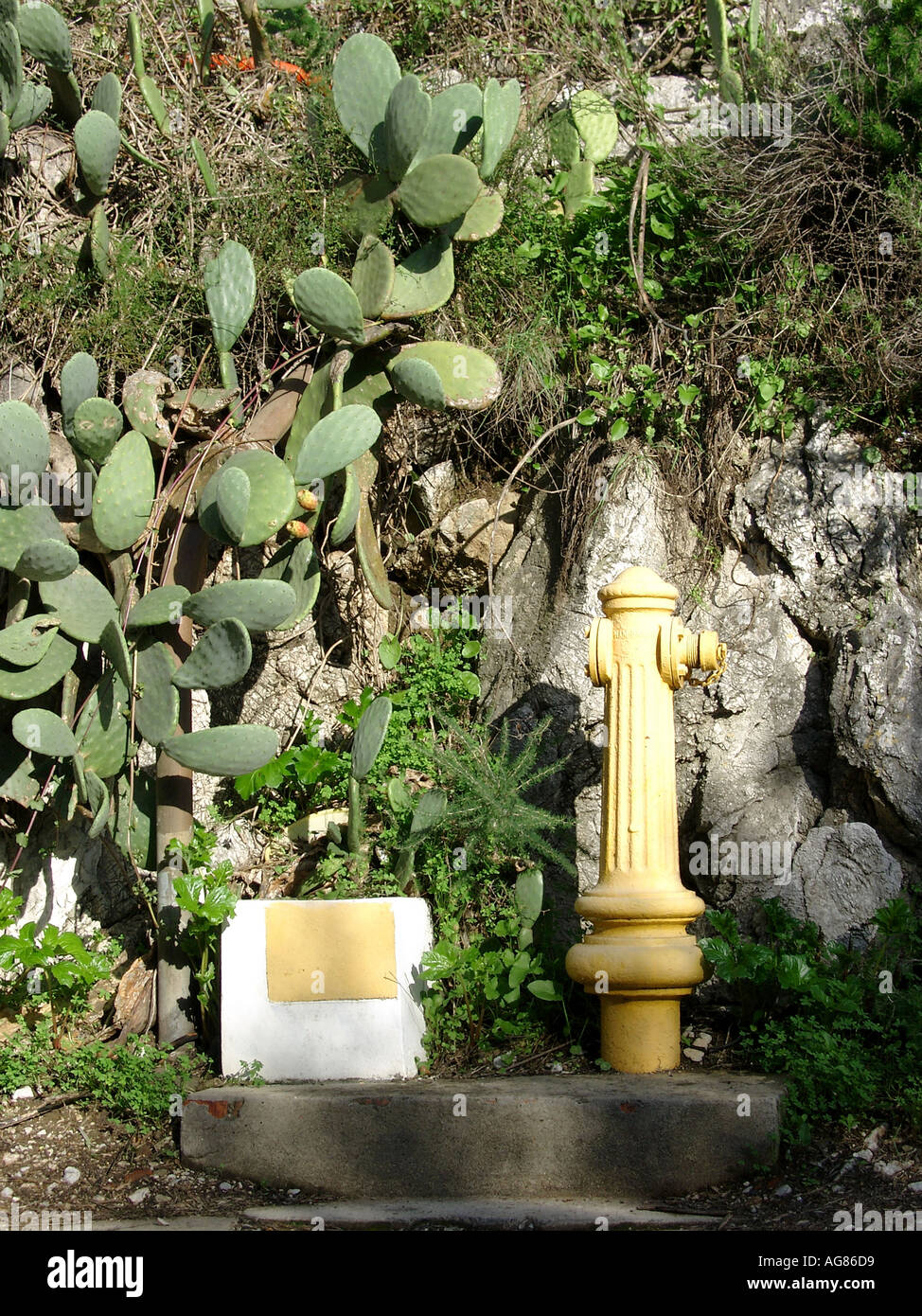 Water Hydrant Upper Rock Nature Reserve Gibraltar Stock Photo Alamy