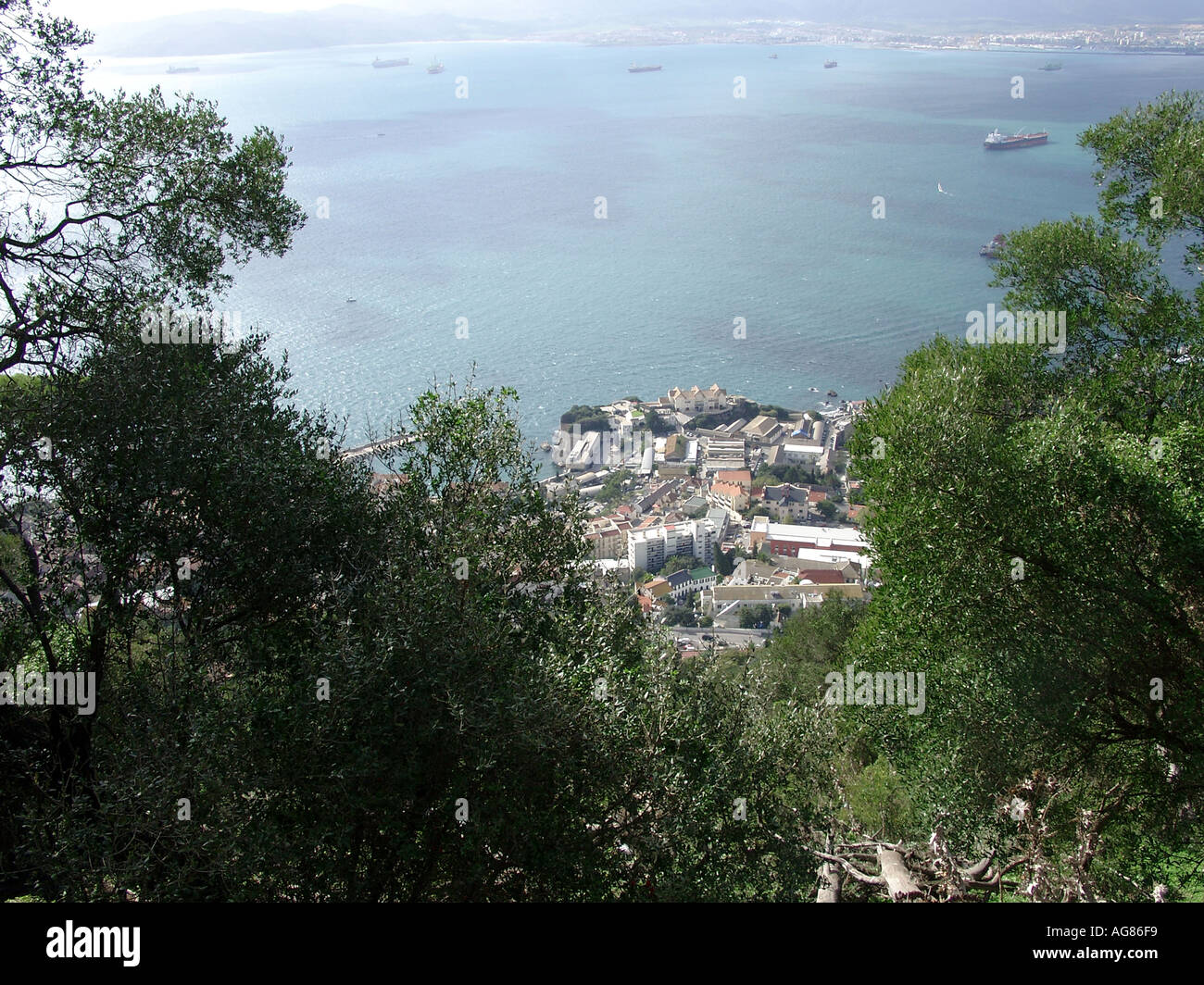 Gibraltar Marina and Harbour Viewed from Upper Rock Nature Reserve Stock Photo