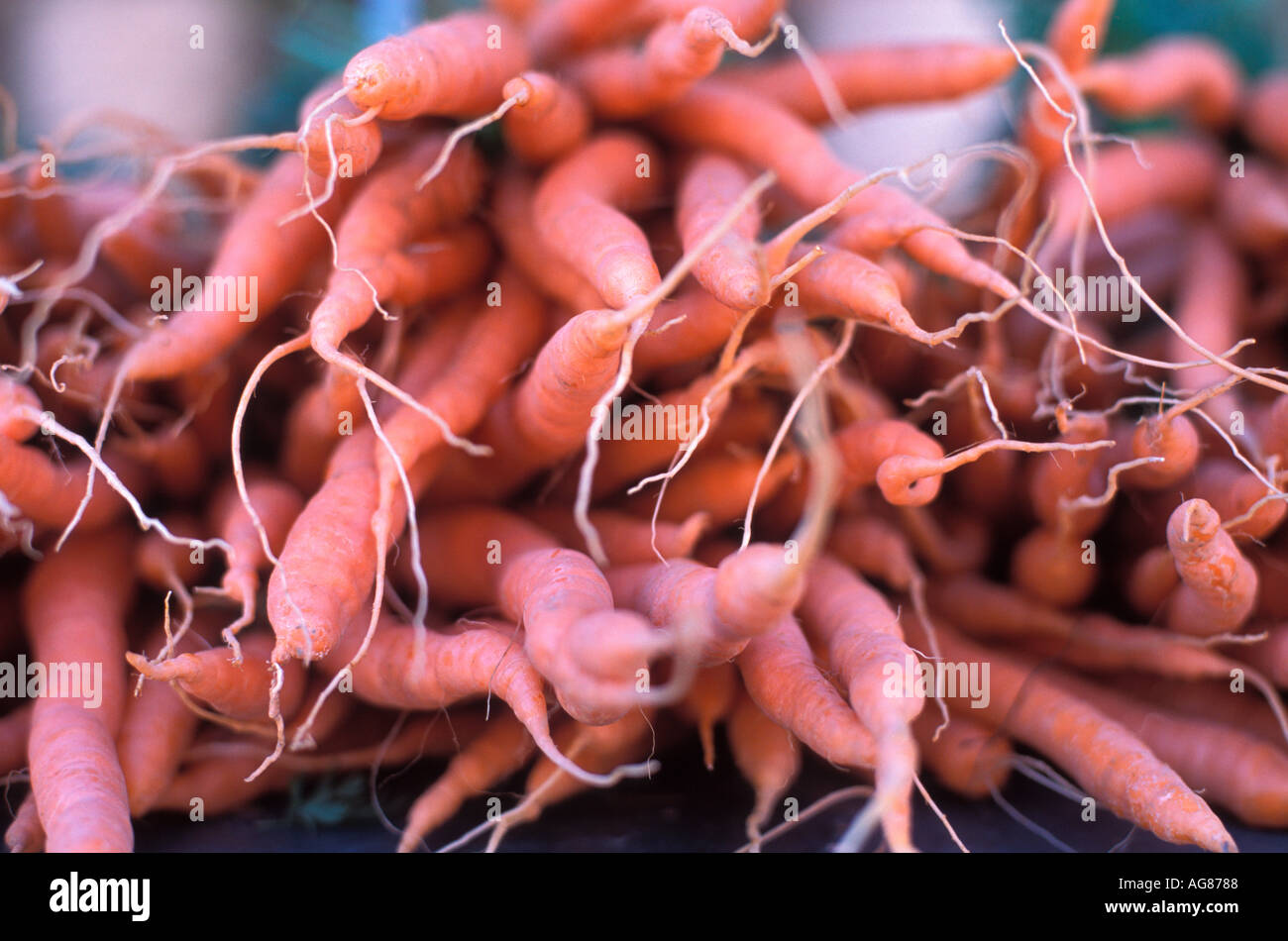 Carrots at outdoor market Stock Photo