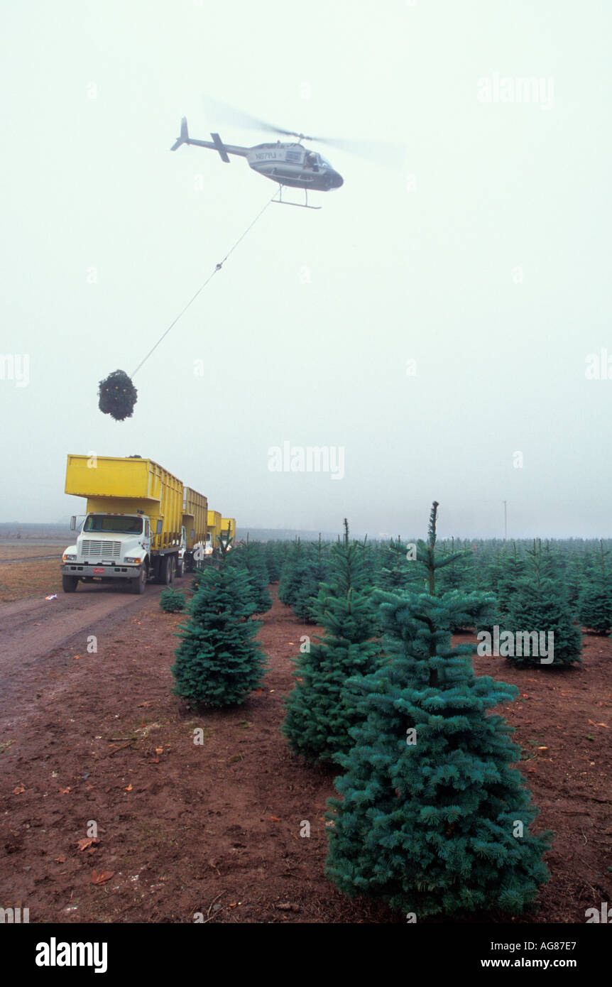 Export helicopter hires stock photography and images Alamy