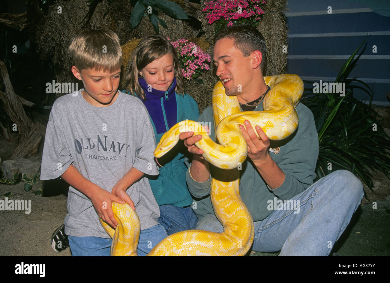 Two young visitors and a reptile handler examine a large albino python at the Reptile Gardens a popular attraction in Rapid City Stock Photo