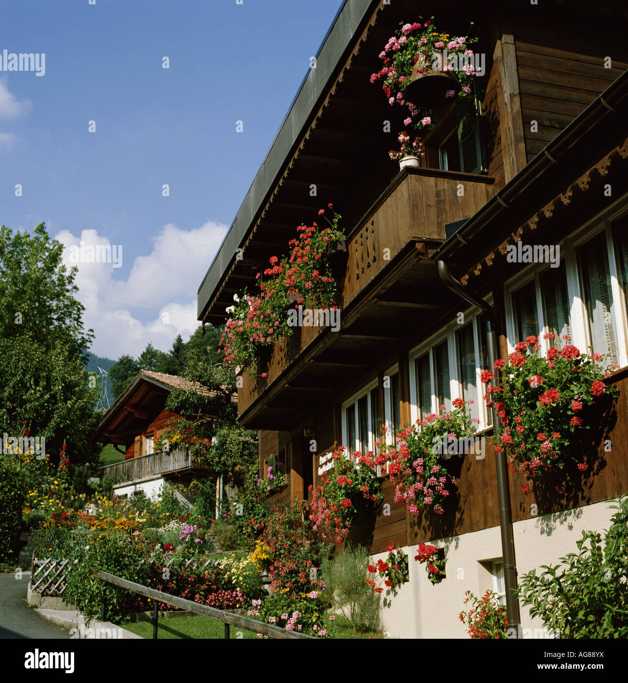 Traditional Swiss Chalet Grindelwald Switzerland Stock Photo Alamy