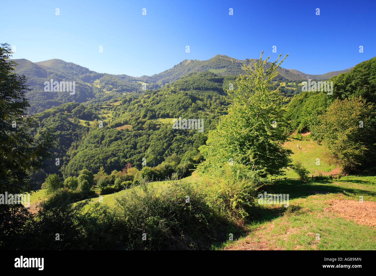 Sierra de las cruces hi-res stock photography and images - Alamy