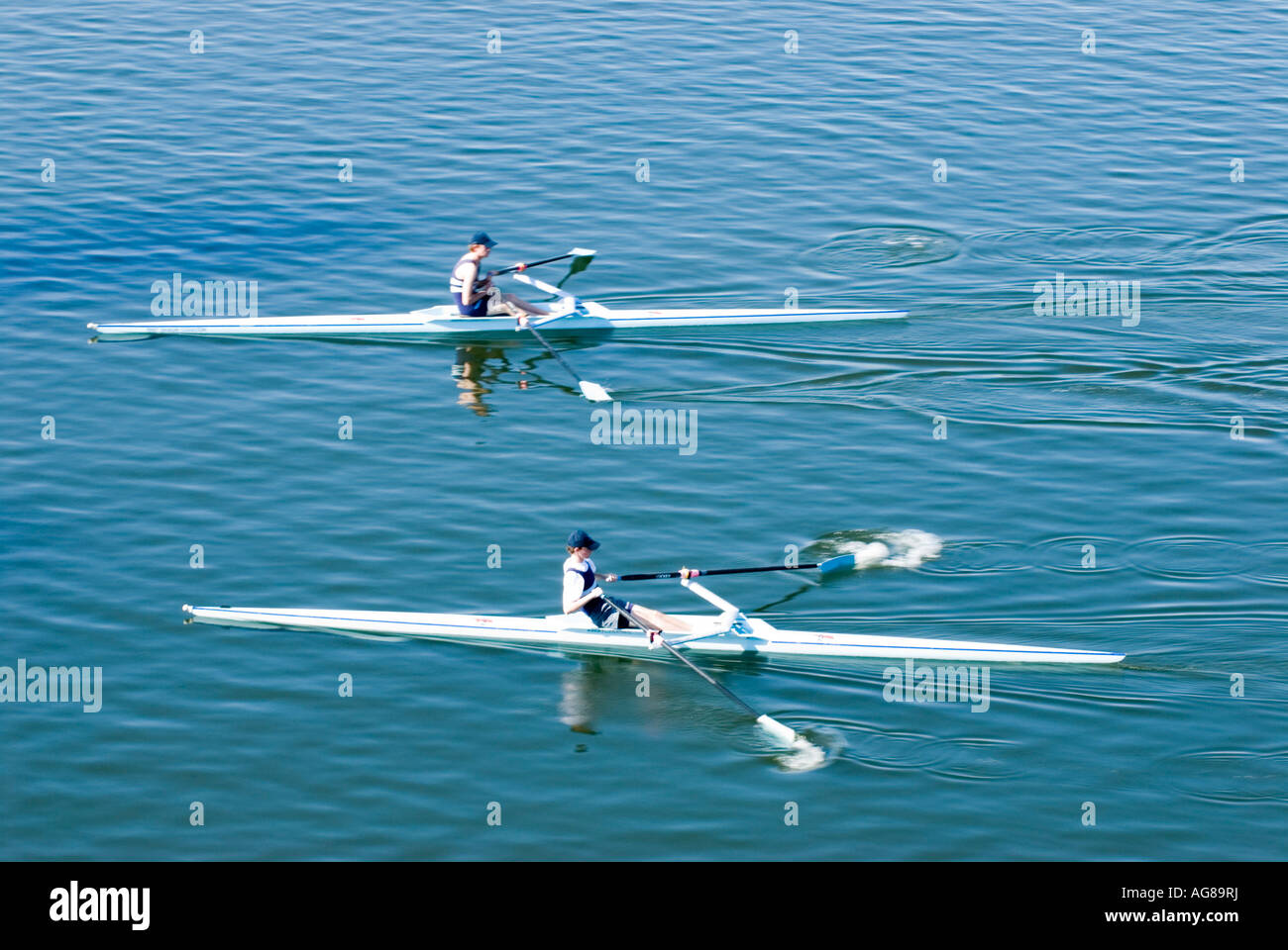Terrace Rowing Rowing on the Brisbane River Brisbane Queensland Australia Stock Photo ...