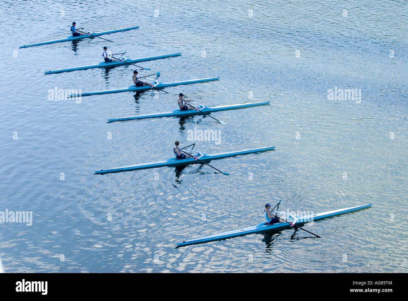 Terrace Rowing Rowing on the Brisbane River Brisbane Queensland Australia Stock Photo ...