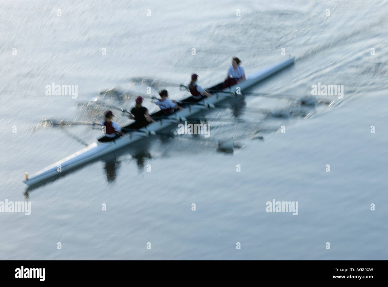 Rowing on brisbane river brisbane hi-res stock photography and images ...