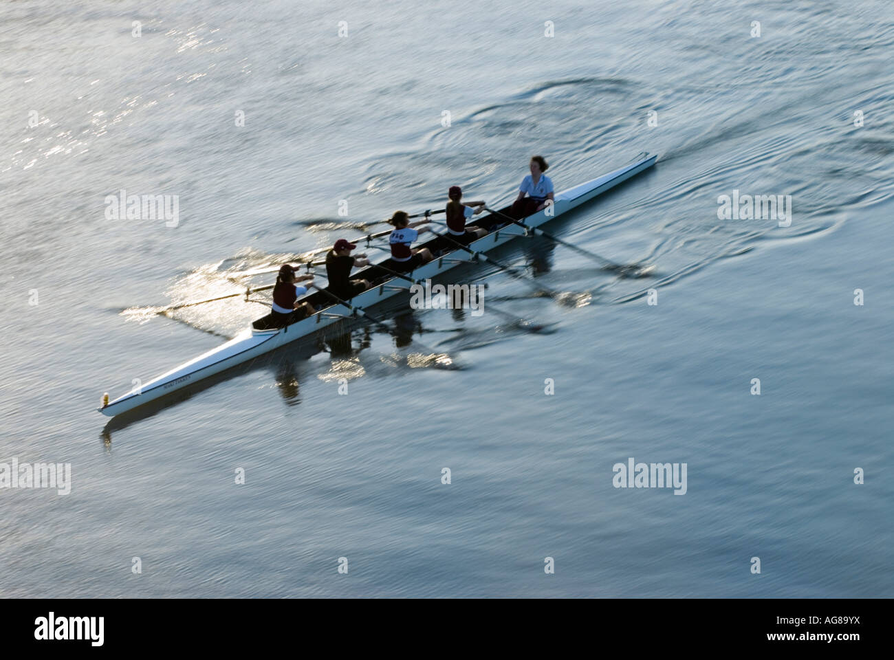 Terrace Rowing Rowing on the Brisbane River Brisbane Queensland Australia Stock Photo ...