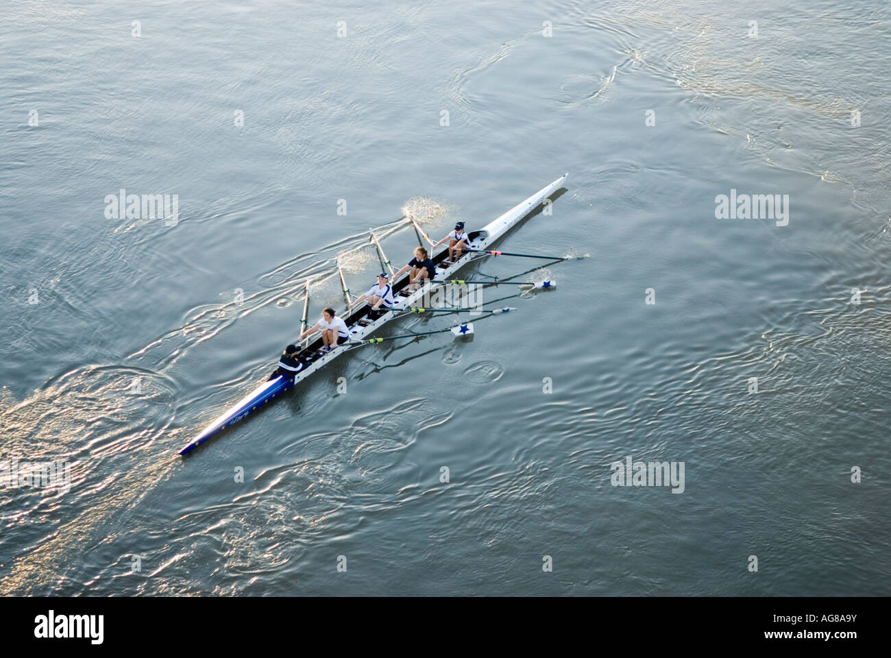 Rowing on brisbane river brisbane hi-res stock photography and images ...