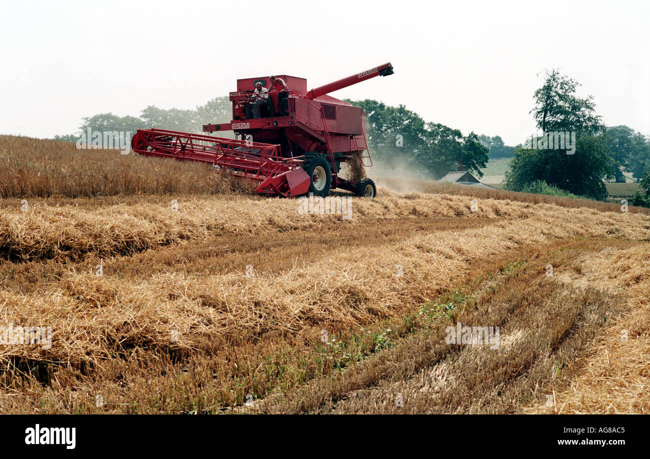 Traditional farming england hi-res stock photography and images - Alamy