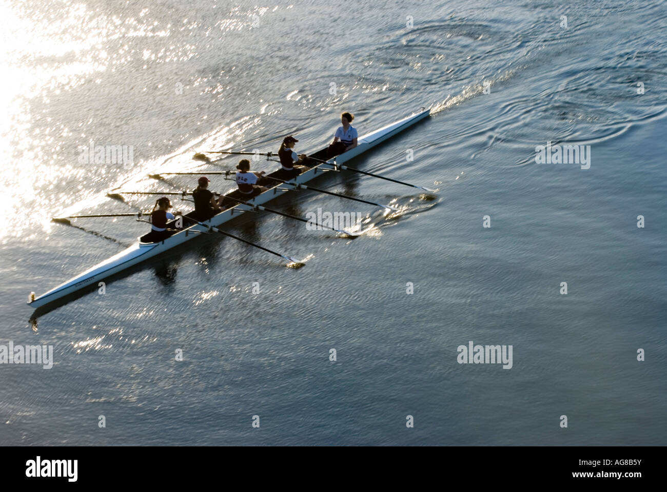 Rowing on brisbane river brisbane hi-res stock photography and images ...