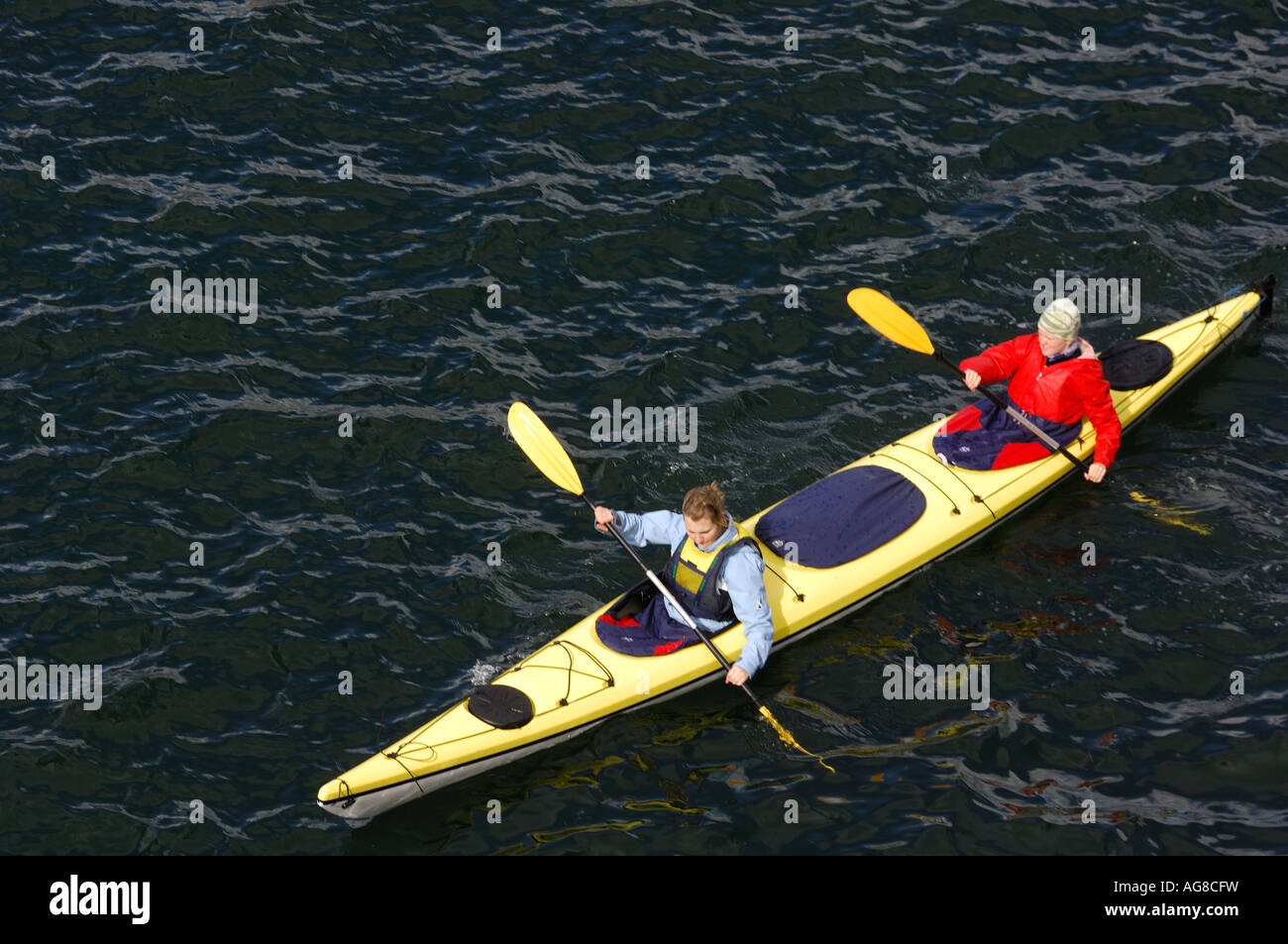 Double kayak paddling Stock Photo Alamy