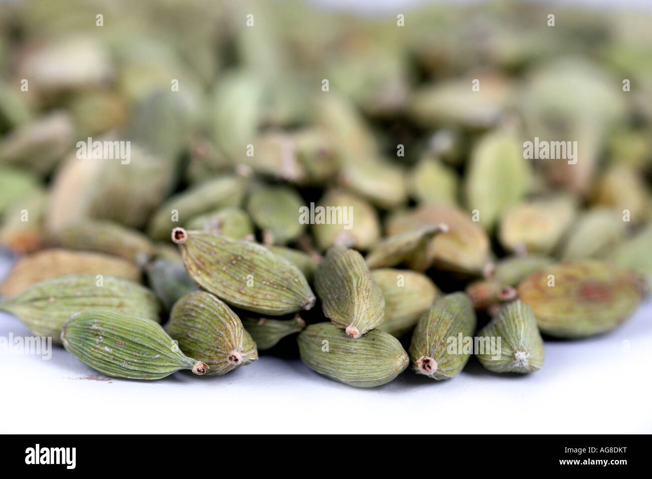 true cardamom (Elettaria cardamomum, Amomum cardamon), capsules Stock Photo