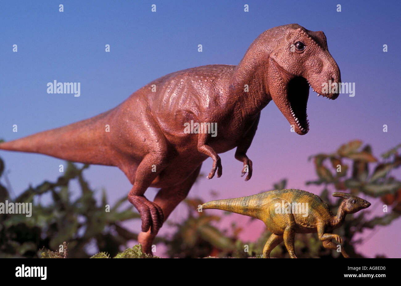 Tryannosaurus Rex Dinosaur feeding on smaller dinosaur Model Stock Photo