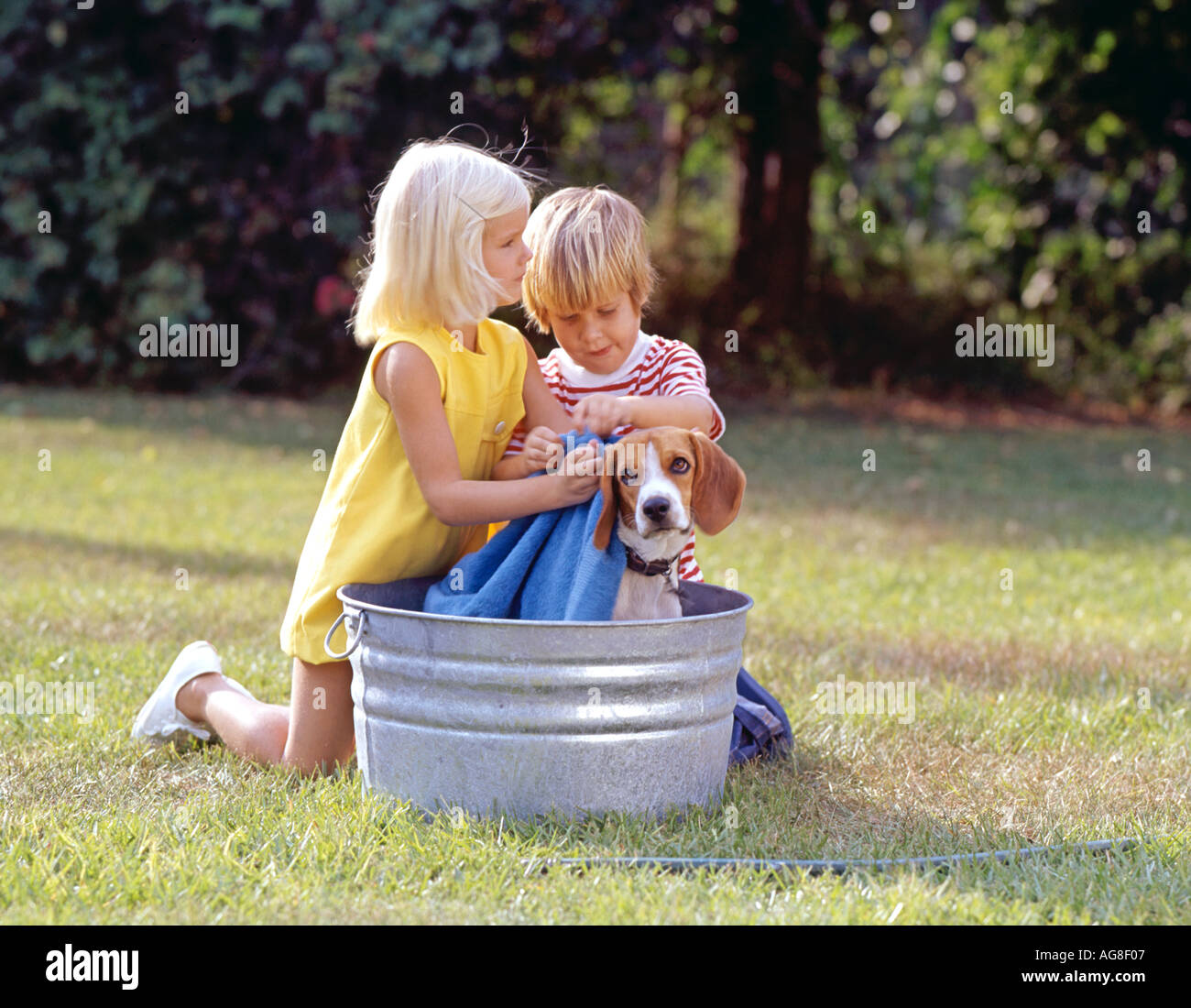 Can You Give A Dog A Bath After Giving Birth