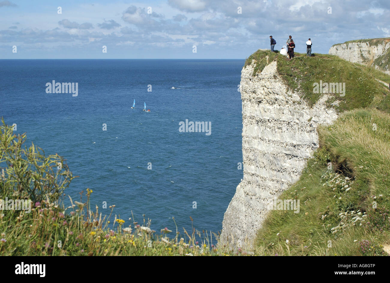 chalk cliffs of alabaster coast, France, Normandy, SeineMaritime