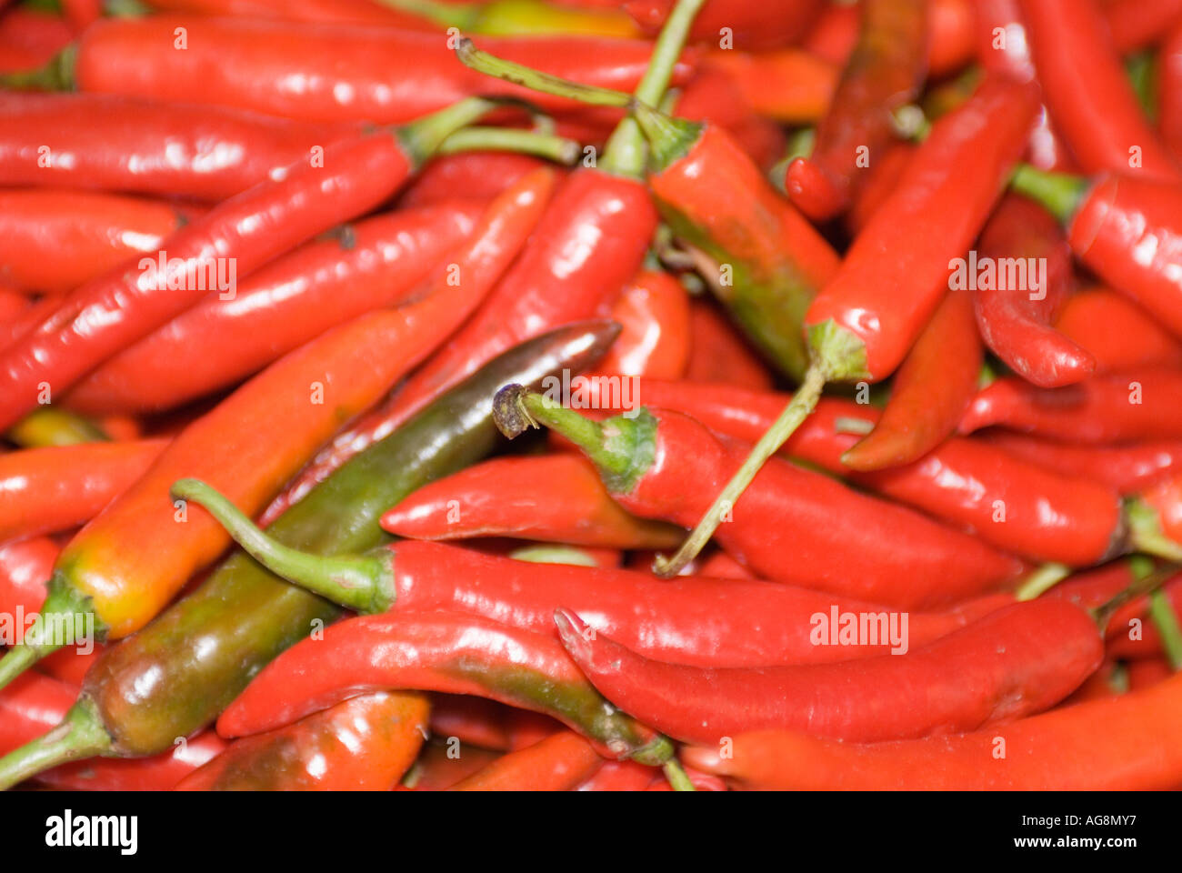 Chilies Thailand Stock Photo