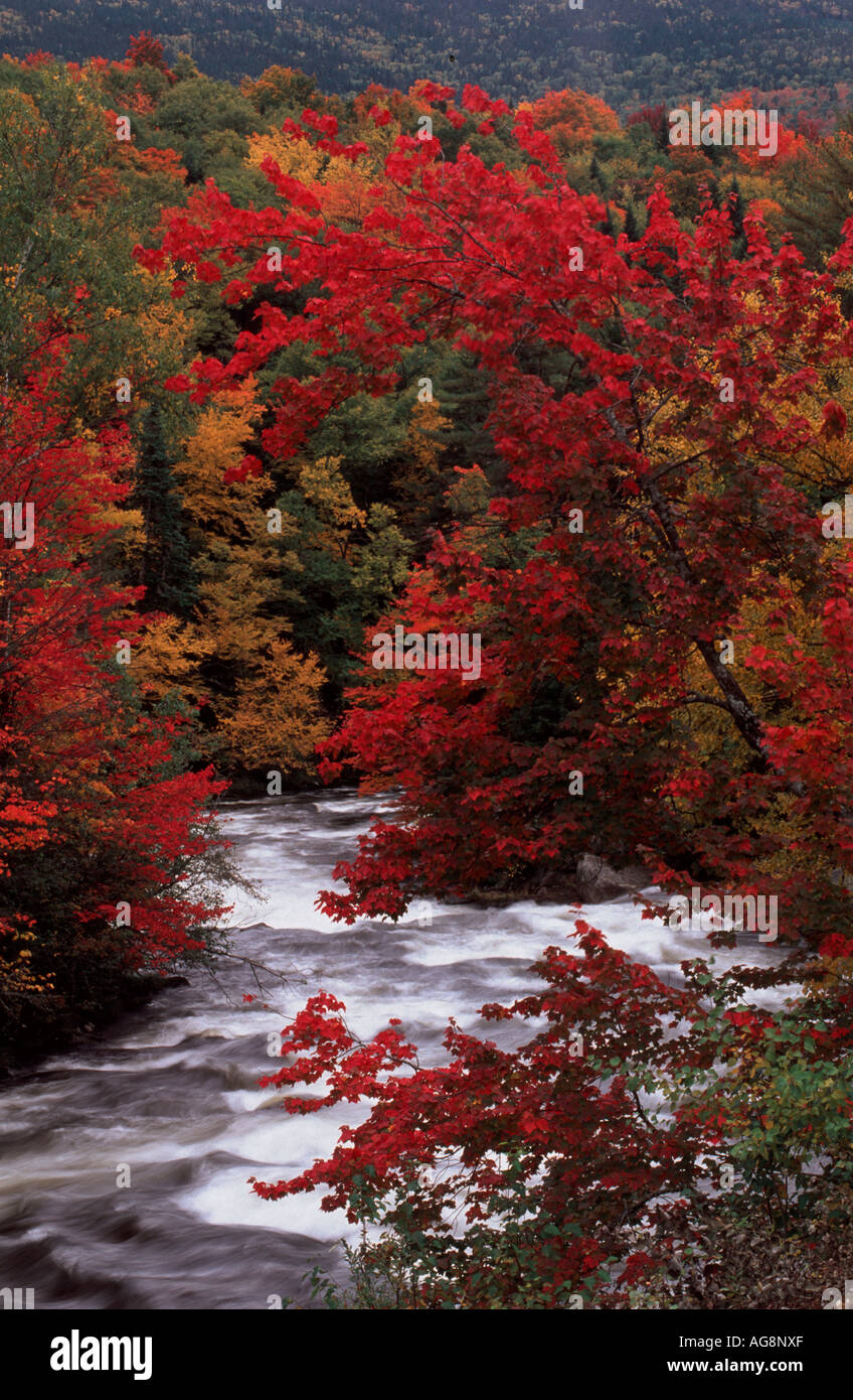 Magalloway river hires stock photography and images Alamy