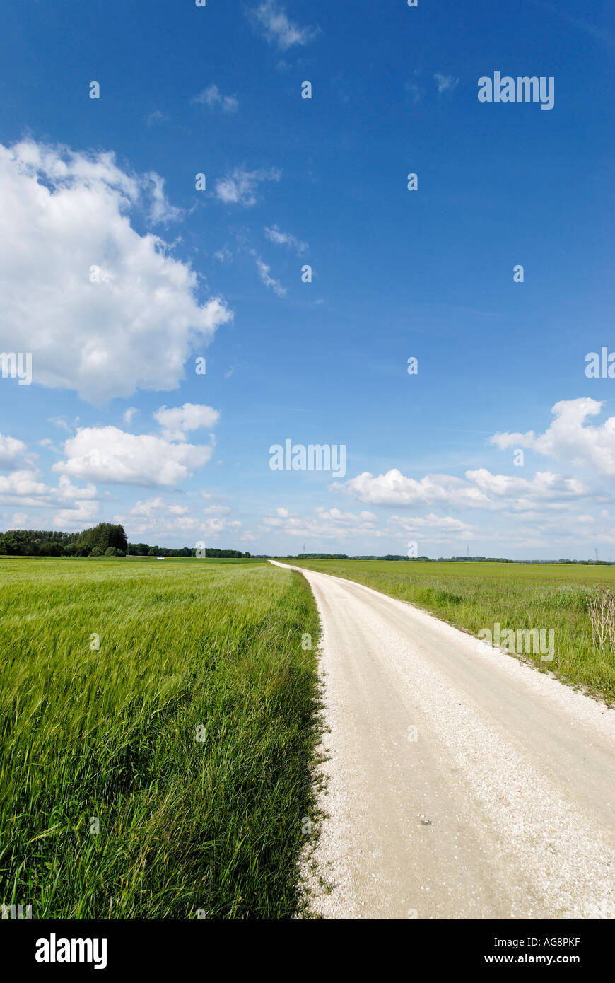 Cultivated swamps of the river Danube near Blindheim Bavarian Swabia Germany cast track farm track Stock Photo
