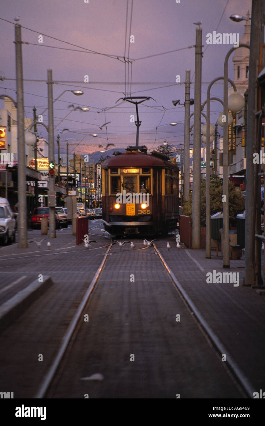 tram at evening city of adelaide state of south australia australia Stock Photo