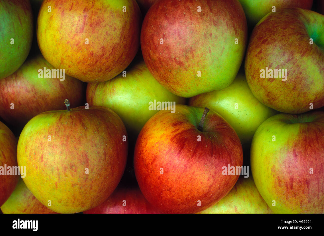 Apples from new zealand hires stock photography and images Alamy
