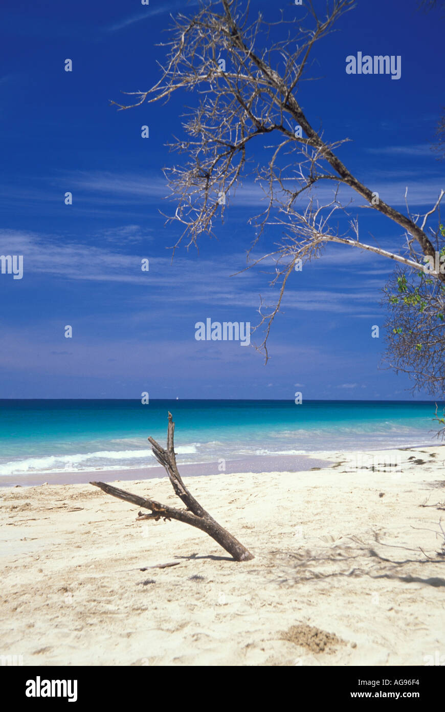 Martinique Travel Landscape Stock Photo