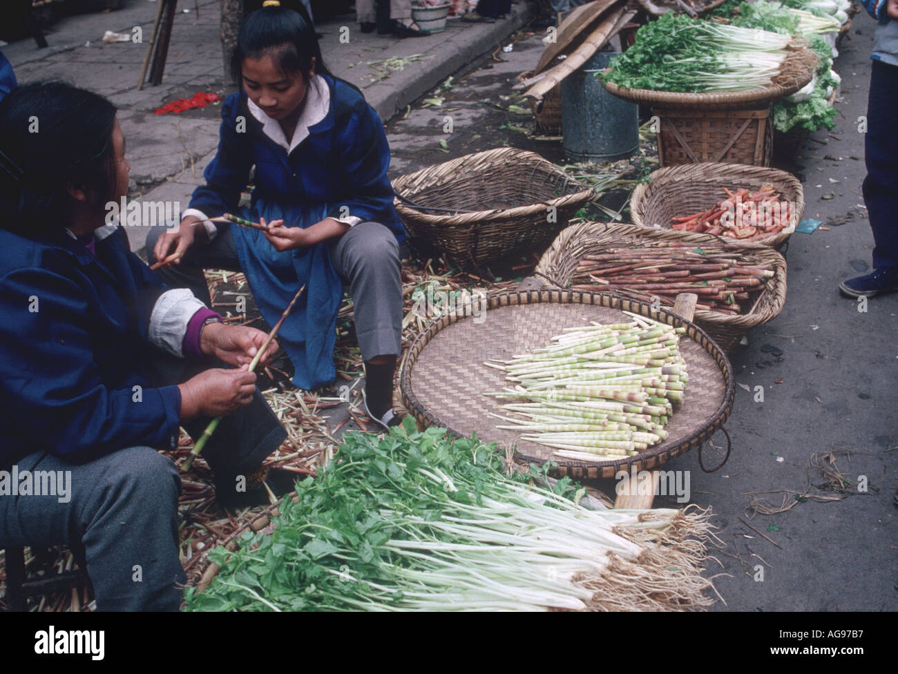 Vegetables and bamboo shoots for sale Stock Photo Alamy