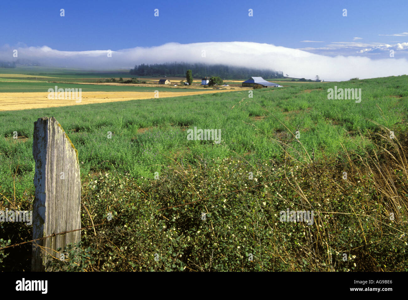 Ebeys Prairie and fence post Ebeys Landing National Historic Reserve
