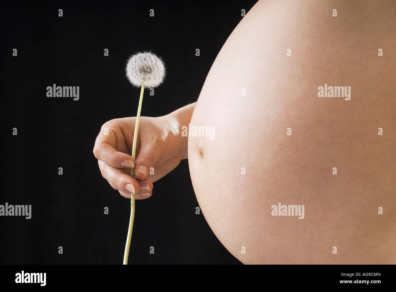 Pregnant woman Stock Photo