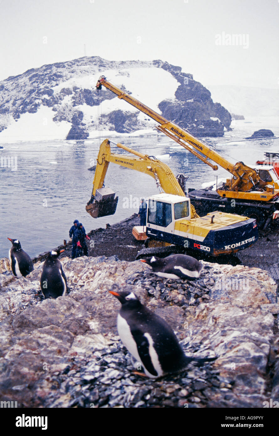 Antarctica Gentoo penguins Pygoscelis papua breeding on Chilean base called Carvajal with crane in background Stock Photo