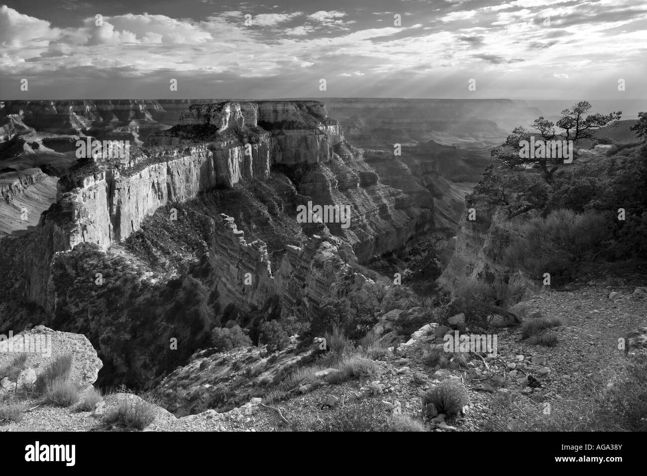 Sundown at Cape Royal North Rim Grand Canyon Arizona Stock Photo