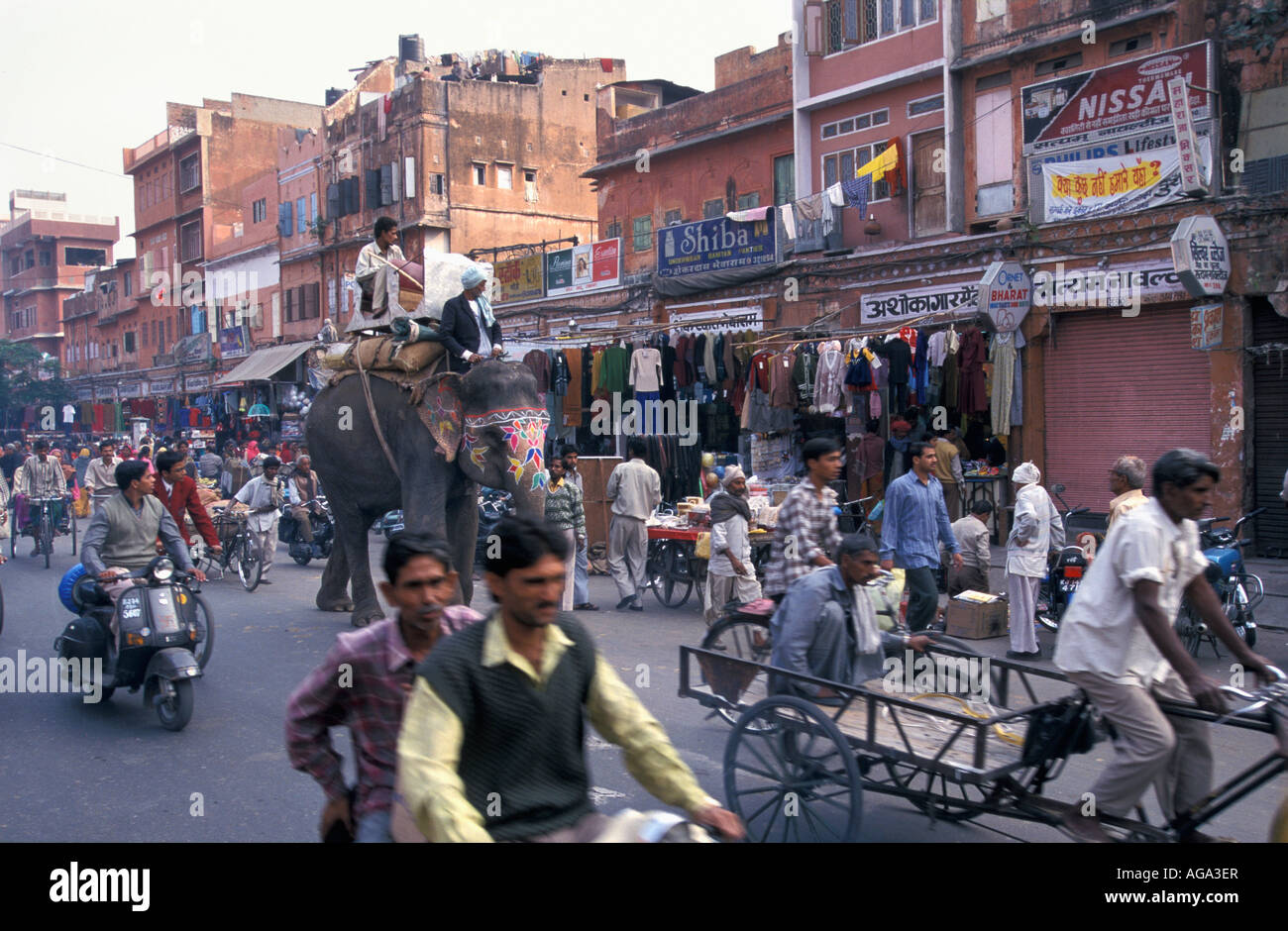 India, Rajasthan, Jaipur, Person sitting on elephant with people on street Stock Photo