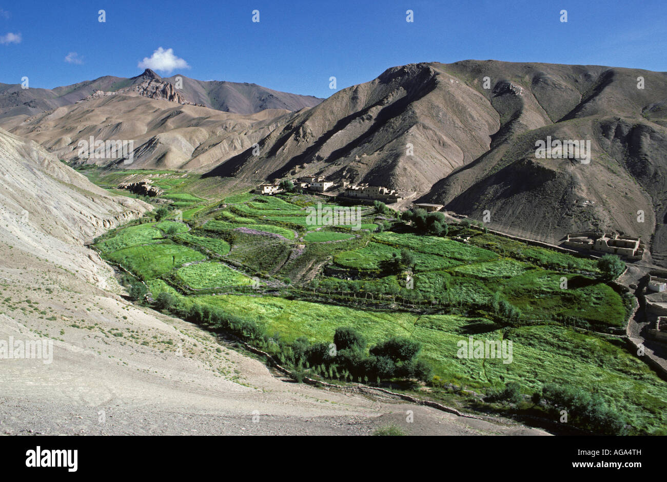 India, Leh, Mountains against blue sky, Villages and wheat fields Stock Photo